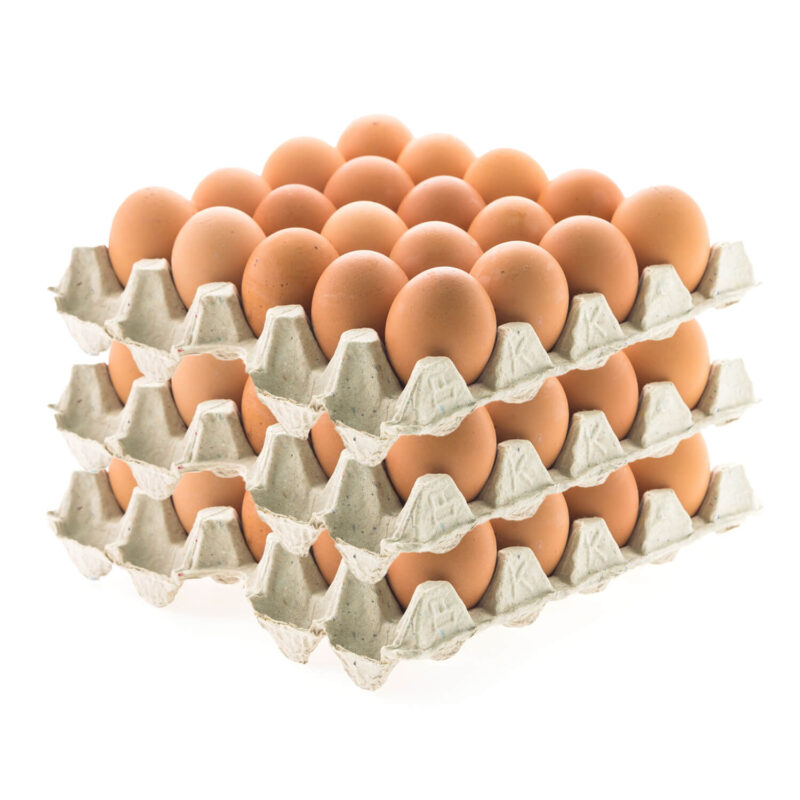 Egg crate
